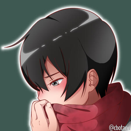 Mikasa